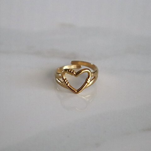 Hugged Ring